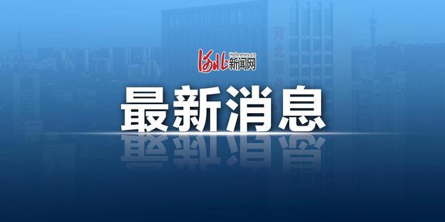 新澳门免费精准大全，全面贯彻解释落实的重要性与策略