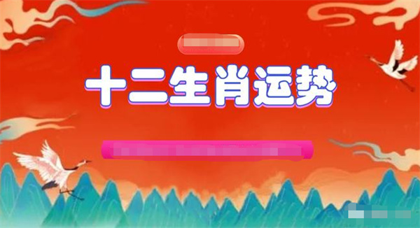 精准一肖一码一子一中，精选解析、解释与落实