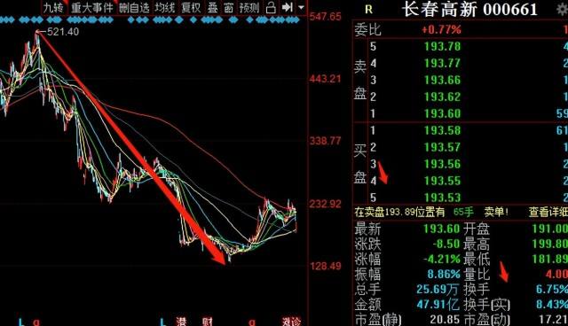 长春高新最新股价动态分析