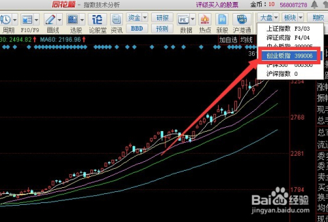 基金最新买入股票，市场趋势与投资策略分析