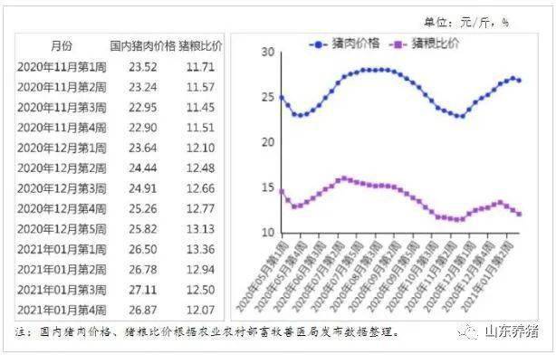 猪肉价格下跌的最新消息，市场趋势、影响因素及未来展望