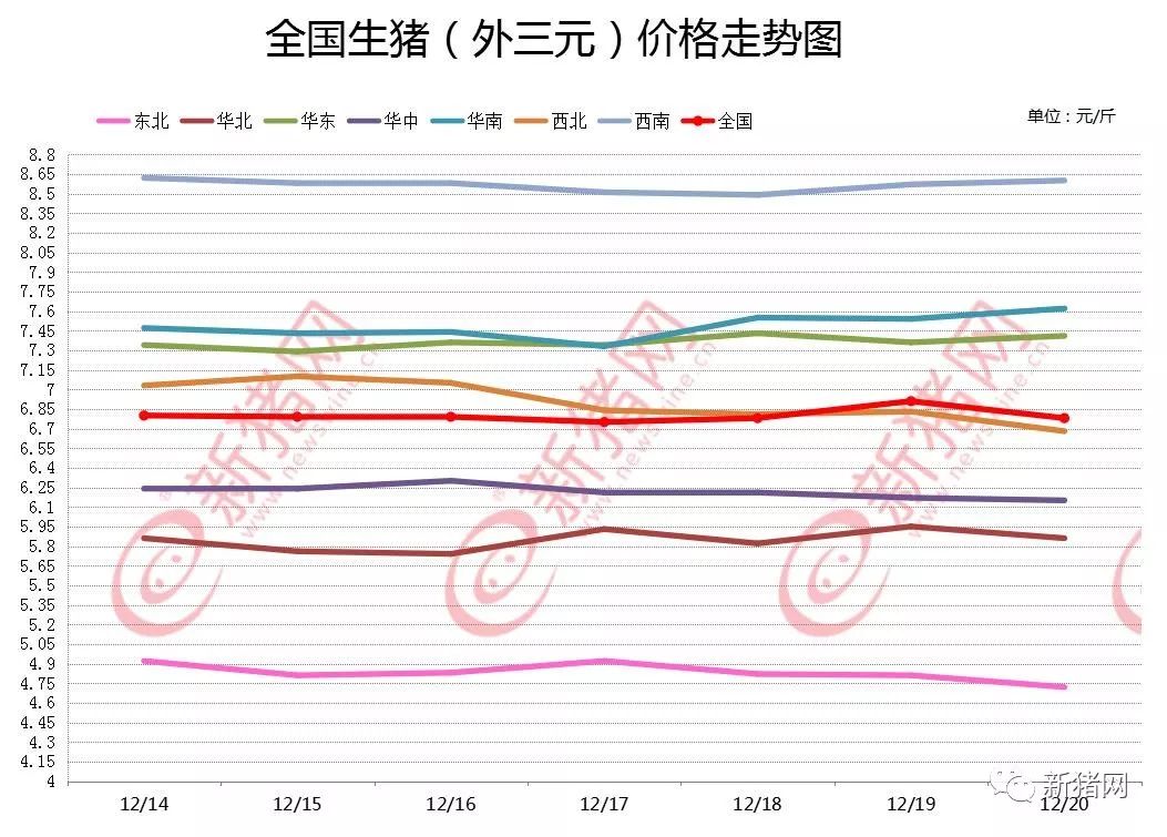 今日猪价最新价表及分析