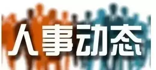 薛泽洲最新任免动态分析