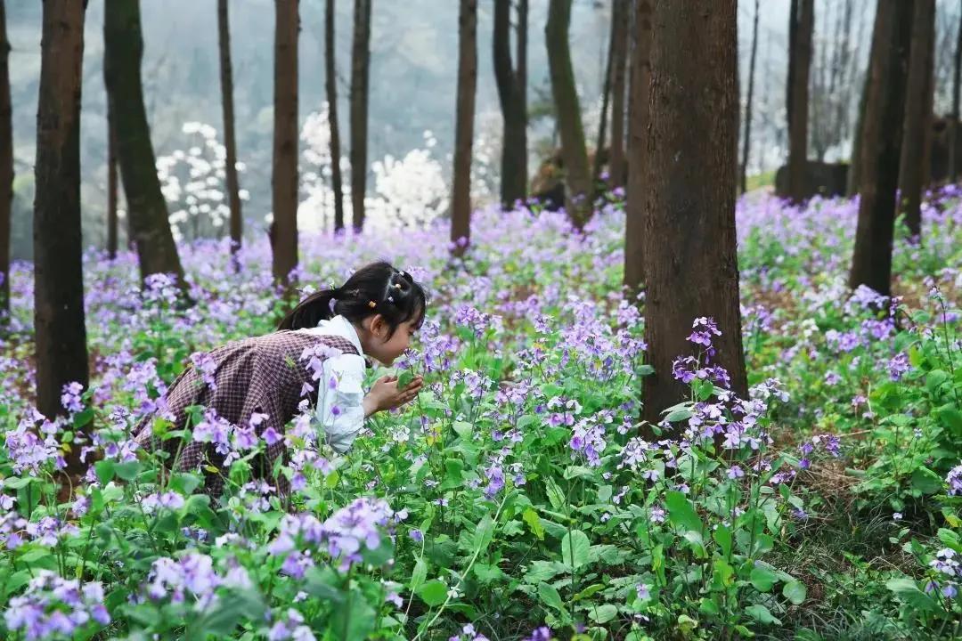 成都最新疫情女性信息，挑战与希望并存