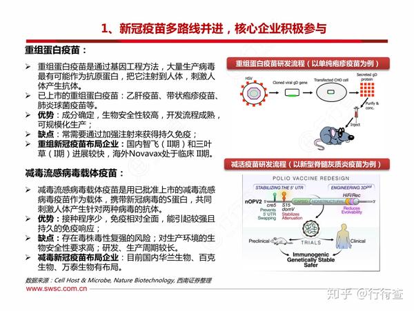 最新国药集团新冠疫苗，守护人类健康的坚实壁垒