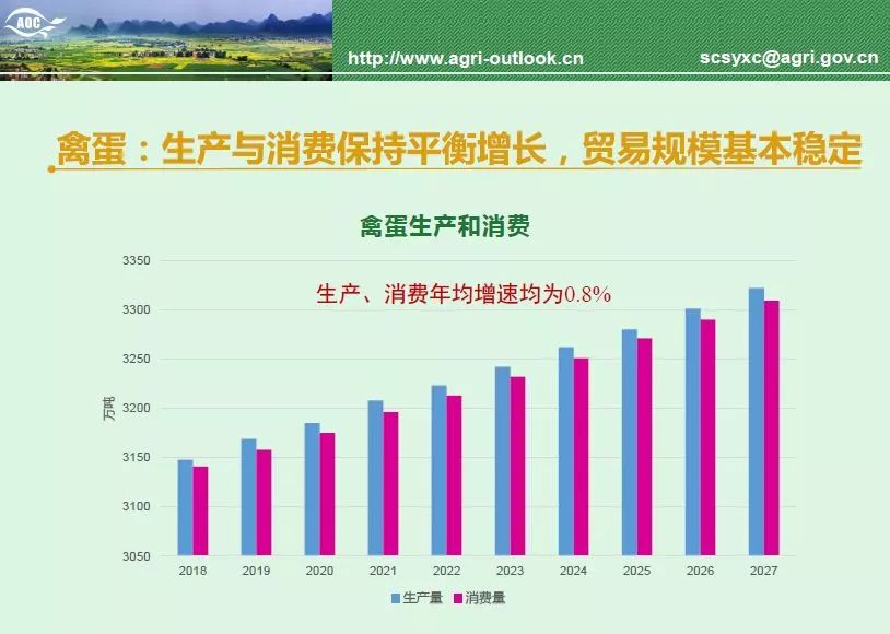 锦安最新消息全面解读，展望未来发展新动向