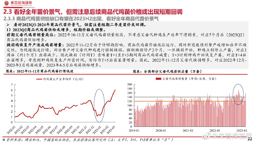 鸡温最新消息，研究、防控与行业动态深度解析