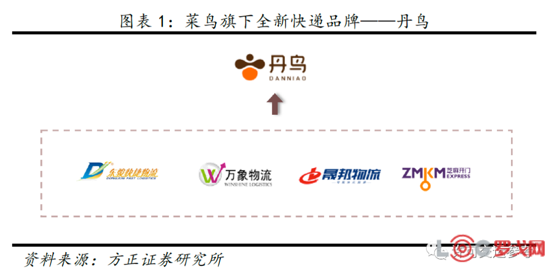 丹鸟物流快递最新报道，创新科技驱动，重塑物流行业新格局