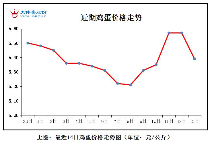 今日蛋价全国最新行情分析