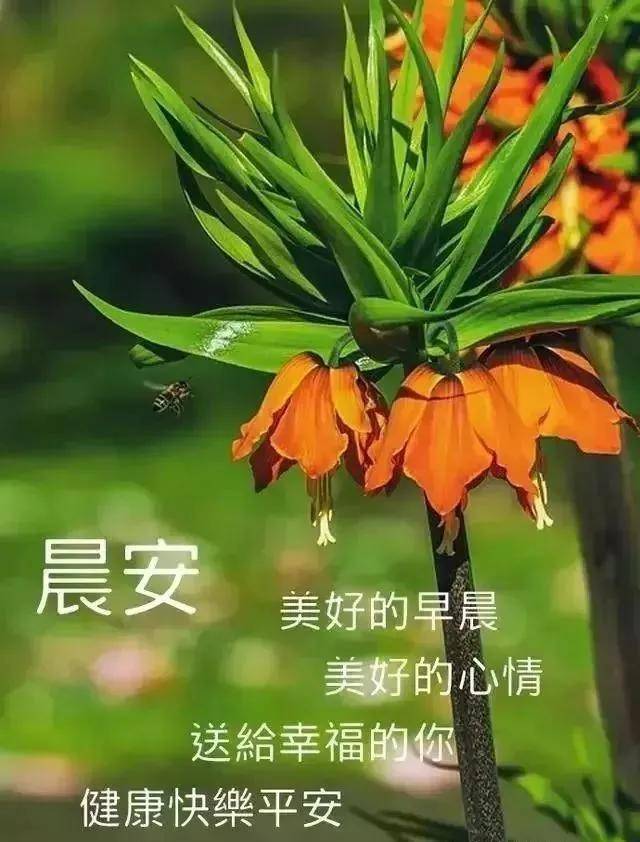 早上好，最新的动态