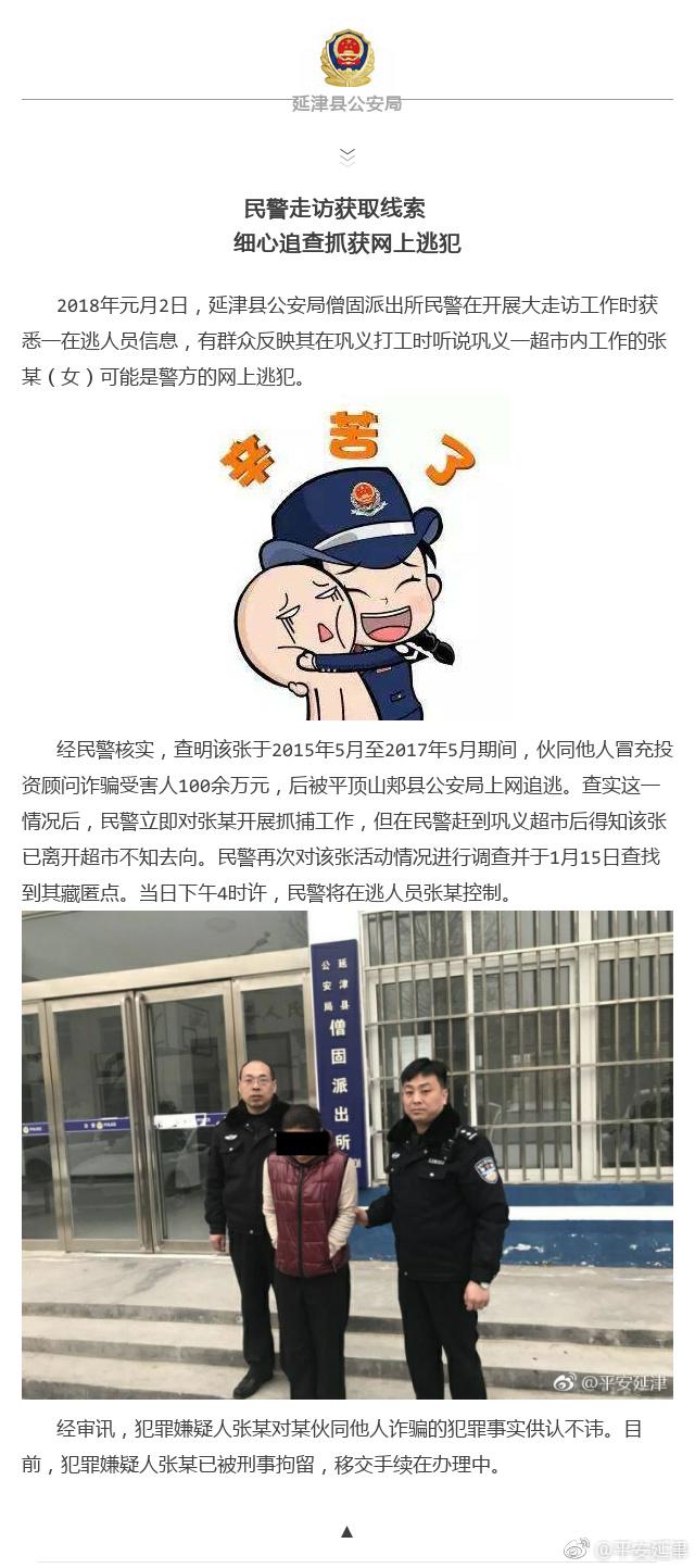 网络逃犯最新消息，深度解析与应对之策