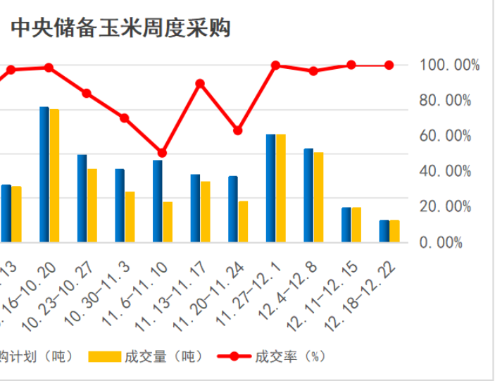 全国玉米最新消息